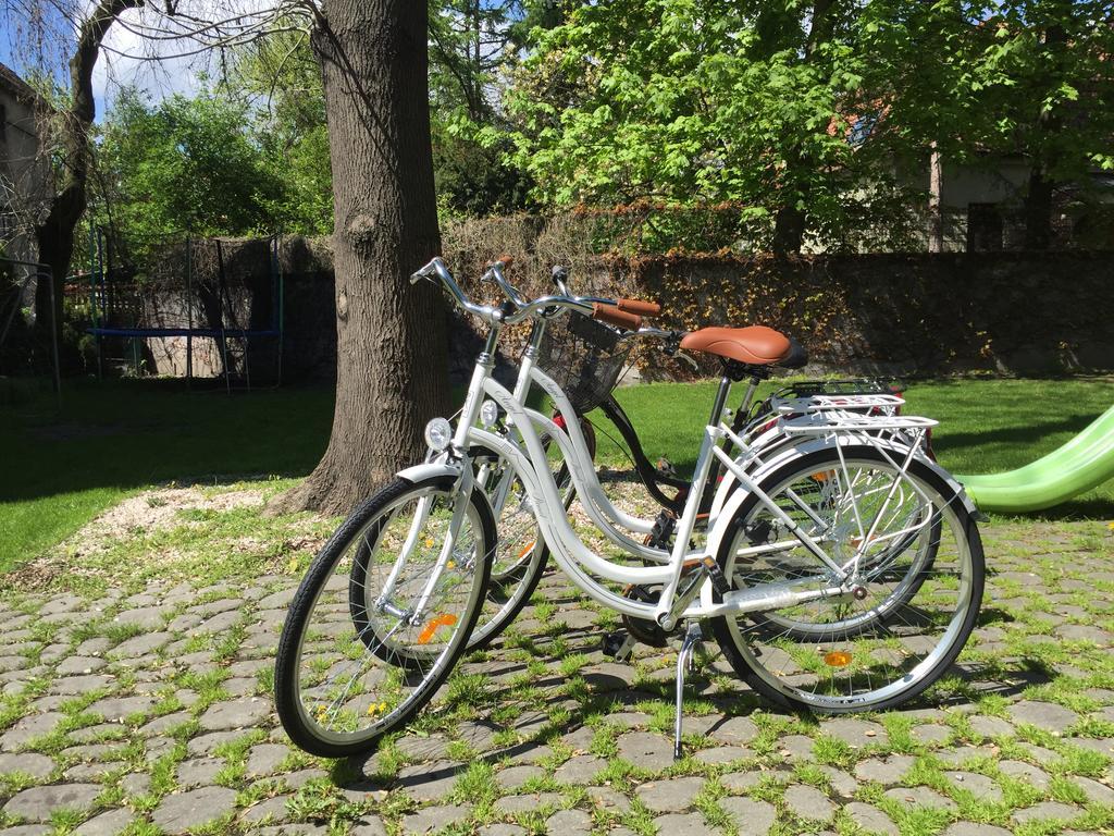 Apartament In Willa Jadwiga *